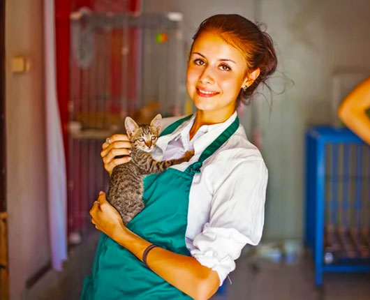 volunteering-for-career-opportunities